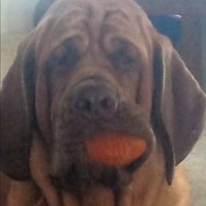 Meet your Posher, Benny